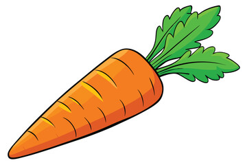 vector illustration of a fresh carrot
