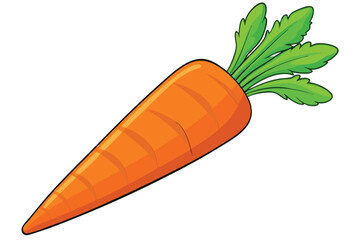 vector illustration of a fresh carrot