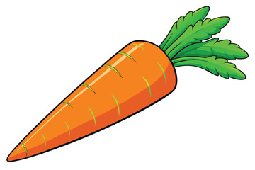 vector illustration of a fresh carrot