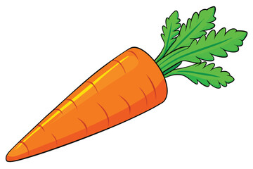 vector illustration of a fresh carrot