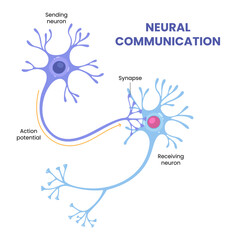 Vector illustration of neural communication and synaptic connections 
