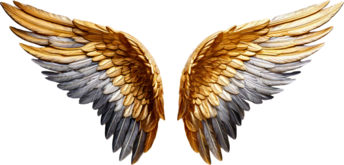 ave, aguilas, vector, ilustración, alas, alas, animal, naturaleza, tatuaje, inhospitalario, emplumar, ángel