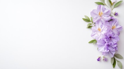 Delicate purple flowers arranged in a corner on a white background, showcasing soft petals and green leaves, and minimalist floral composition.