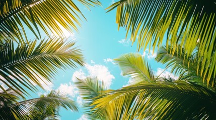 Lush palm fronds frame a vibrant tropical sky.
