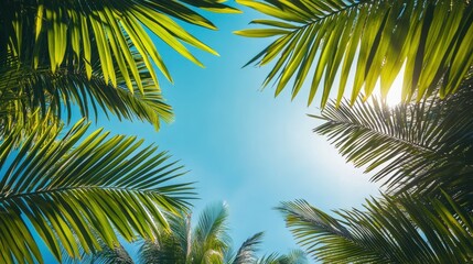 Fototapeta premium Lush tropical palm fronds frame a vibrant azure sky.