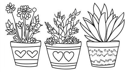 Three potted plants, flowers, succulents, home decor, coloring page