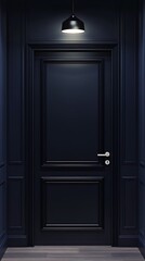 Fototapeta premium A dark wooden door in a dimly lit hallway with elegant paneling.