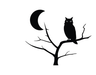 Owl on Dead Tree Branch Silhouette