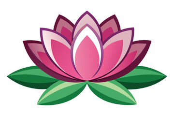 lotus flower vector illustration