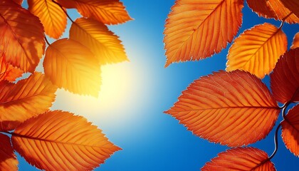Fototapeta premium Autumn Leaves Against Blue Sky