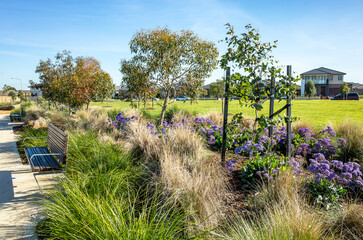 A beautifully landscaped garden area featuring native ornamental grasses, drought-tolerant...