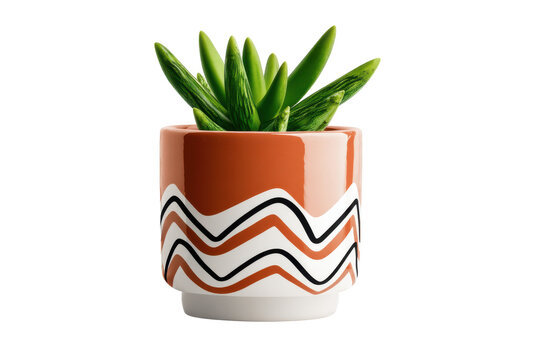 Desert Gem: A Vibrant Succulent in an Earth-Toned, Patterned Pot Radiating Natural Beauty