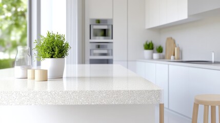 Modern, bright kitchen countertop with greenery