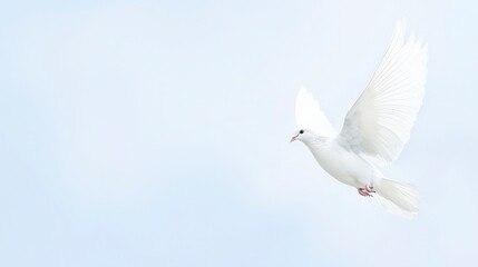 Fototapeta premium Dove Flying in Clear Blue Sky Symbolizing Peace and Harmony