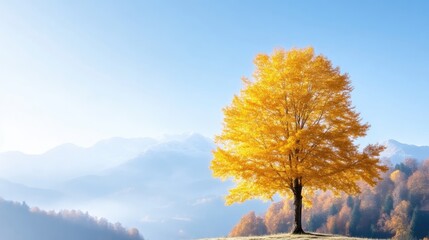 Golden autumn tree amidst misty mountains