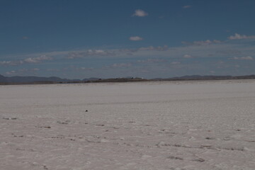 Lagoons, volcanoes and geysers in the Uyuni desert
