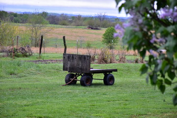 Wooden Trailer in a Farm Field