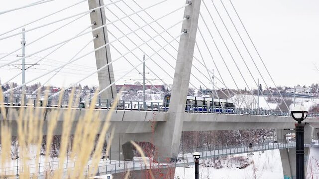 Edmonton LRT, public train, Light Rail Transit