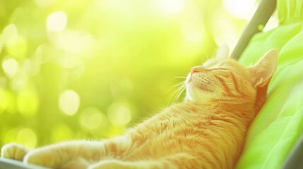 This orange cat relaxes peacefully on a green chair, basking in the warm sunlight of a tranquil garden during midday