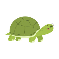 Cute Cartoon Turtle Wear Glasses Illustration