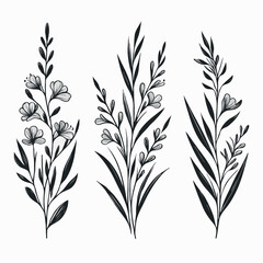 Fototapeta premium Set of outline herbs, Meadow leaves, doodle floral. Hand drawn wild flowers Botanical drawing. Detailed line art Delphinium illustration. Simple Stylized wildflowers. Black and White