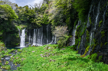 日本静岡富士宮の白糸の滝