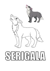 wolf animal coloring book