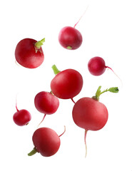 Fresh ripe radishes falling on white background