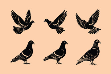 Rock Pigeon bird, silhouette vector illustration