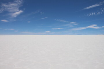 Incahuasi Island in the Uyuni Salt Flats