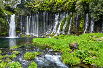 日本静岡富士宮の白糸の滝
