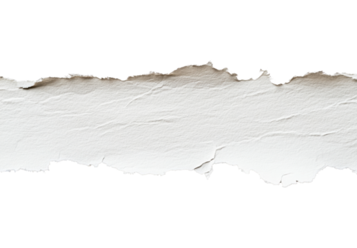 Torn paper edge on white background