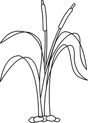 Marsh grass leaf outline vector