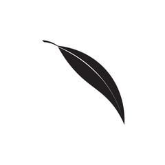 Eucalyptus leaves logo vector