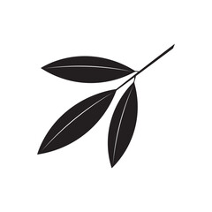 Eucalyptus leaves logo vector