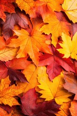 Fototapeta premium Close up view of vibrant autumn leaves, featuring a mix of red, orange, and yellow hues. The leaves are layered, creating a rich tapestry of color and texture. Delicate water droplets accentuate
