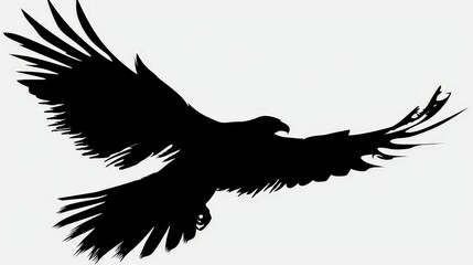 Obraz premium Majestic Eagle Silhouette Spreading Wings Against White Background