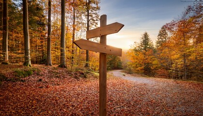 Natural wooden signpost standing at a scenic woodland trail split