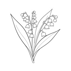 Black and White Line Art of a Lily of the Valley Bouquet © GedhangKlutuk