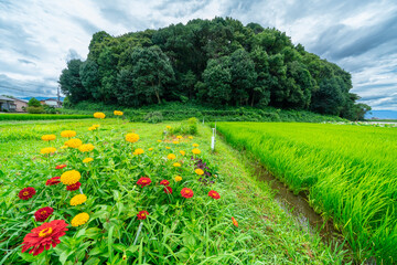 箸墓古墳