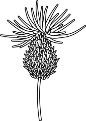 Thistle flower outline vector