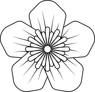 black and white flower outline clip art preview