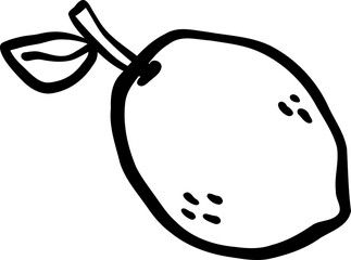 Cartoon Lemon Hand Drawn Outline Doodle Outline Doodle