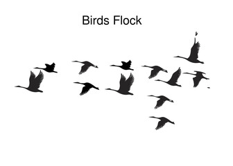 Flock of Birds Silhouette  Flying Birds Vector Illustration transparent background editable