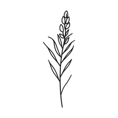 Single Black Line Drawing Branch with Leaves on Transparent Background