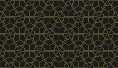 Fototapeta premium Elegant background with polygonal line. Triangular style. Vector illustration.