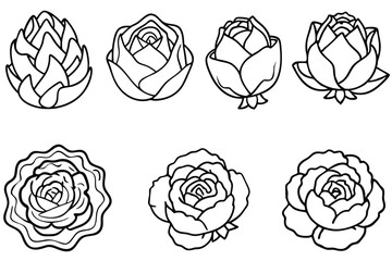 Cabbage adds crunch to every healthy meal