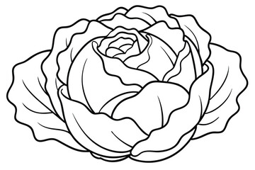 Cabbage enhances dishes with flavor and texture