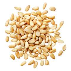 Close-up of raw melon seeds isolated on transparent background