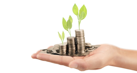 Investment growth strategies financial markets infographic business environment close-up view sustainable development
